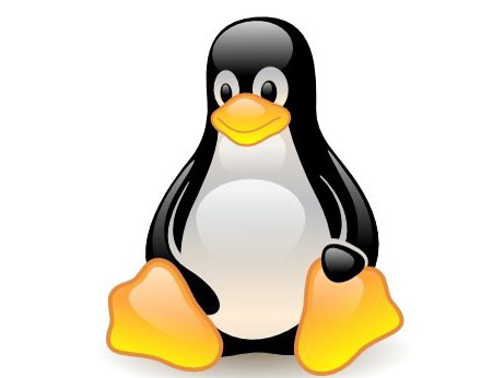 What is Linux?