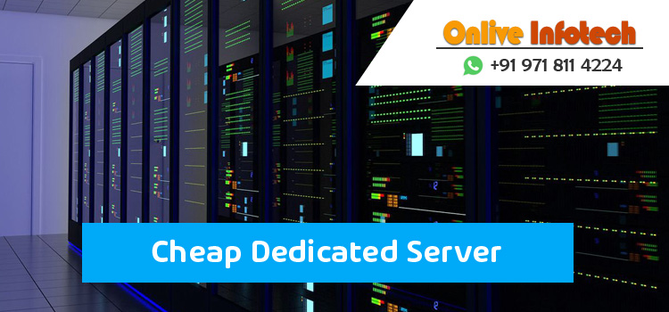 Cheap Dedicated Server with Control Panel and High-Quality Package
