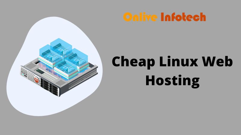 Get Cheap Linux Web Server for Business Website - Onliveinfotech