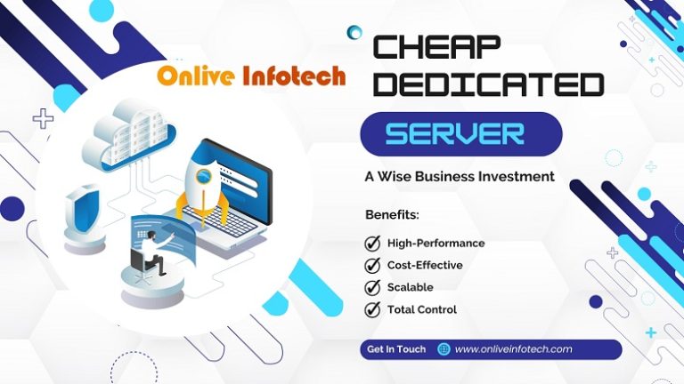 Cheap Dedicated Server Hosting: A Wise Business Investment
