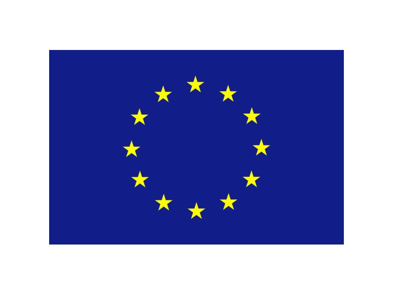 European Union flag